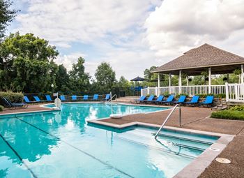 Tropical swimming pool